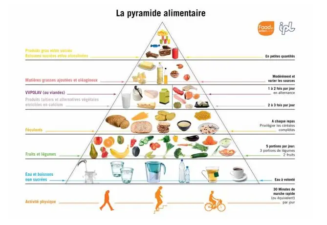 Alimentation Equilibrée - Pyramide alimentaire FR