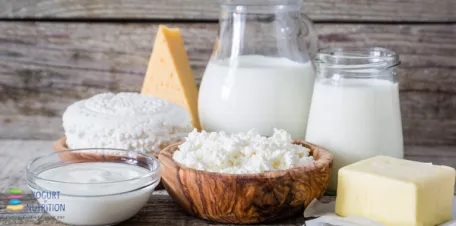 Yoghurt: gecontroleerde fermentatie