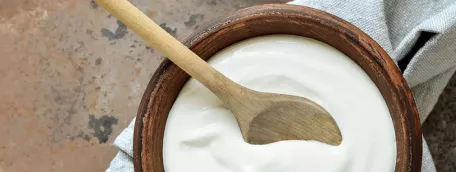 Qu'est-ce que le L. casei Danone?