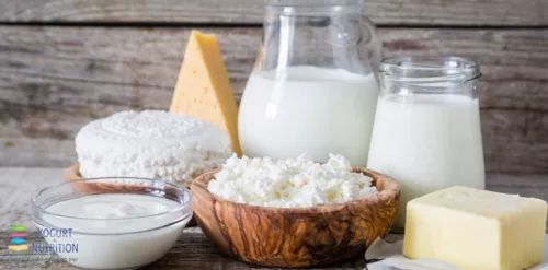 Le yaourt, une fermentation contrôlée