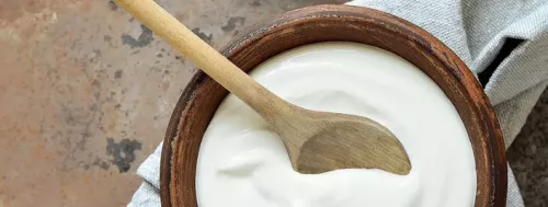 Wat is de L. casei Danone ?